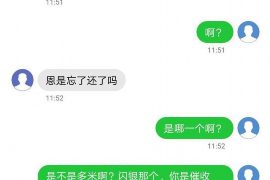 长垣为什么选择专业追讨公司来处理您的债务纠纷？